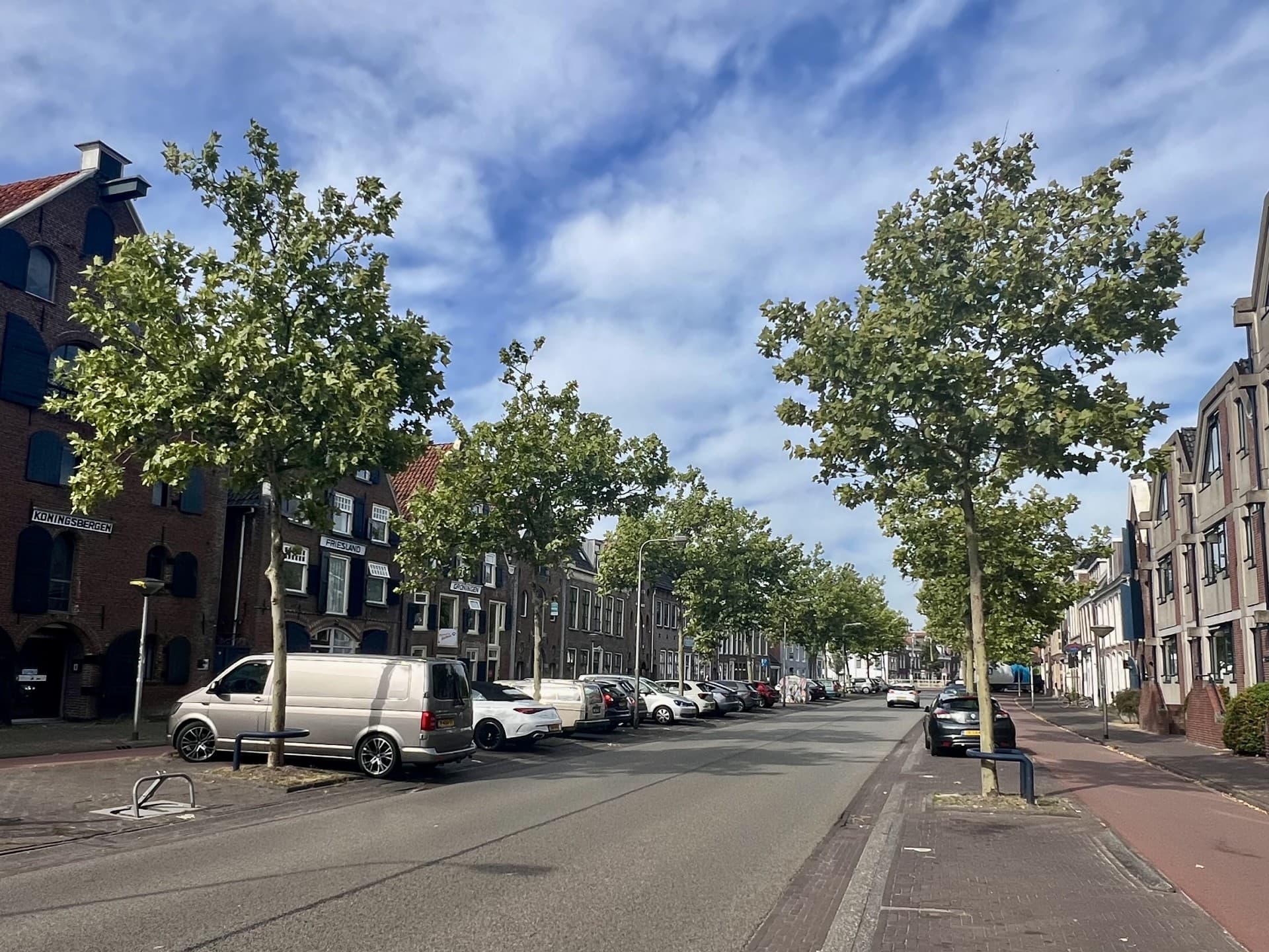 Een groene, bomenrijke straat in de Vlietzone, Leeuwarden